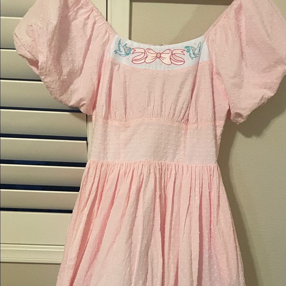 Adult Cinderella Princess Dress